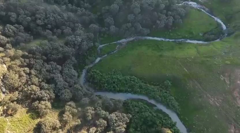 Recorrido aéreo sobre el bosque, relieve y áreas verdes de Tierra Viva
